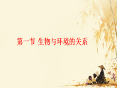 5.1生物与环境的相互作用（课件） 人教版生物八年级上册