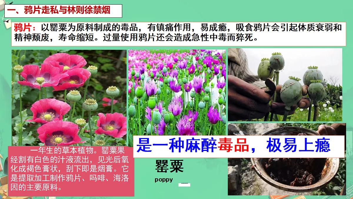 17332070第8页