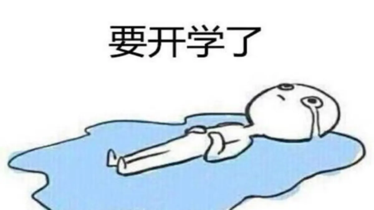 17332110第3页