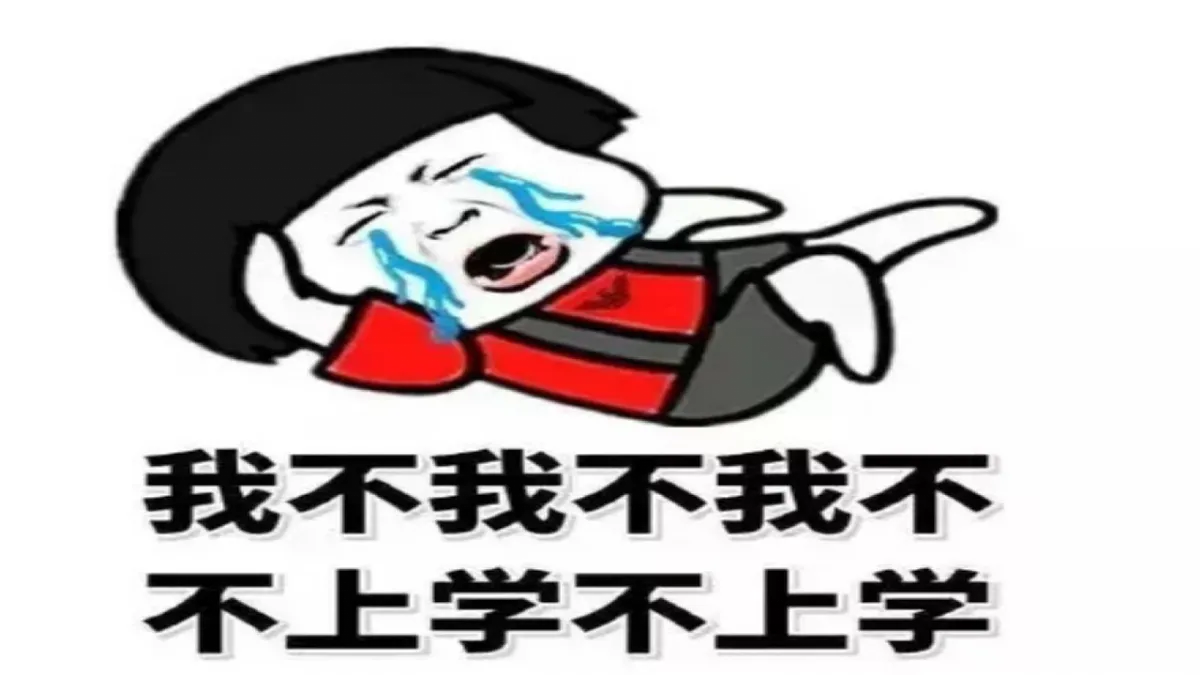 17332110第5页
