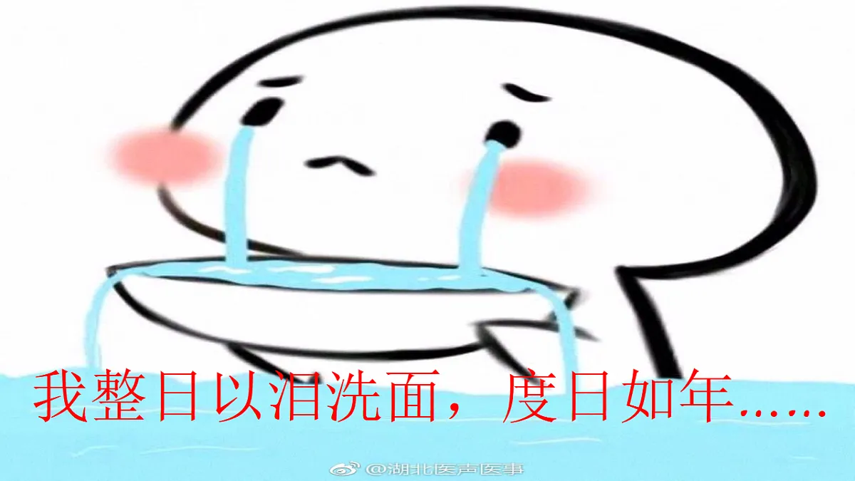 17332110第8页