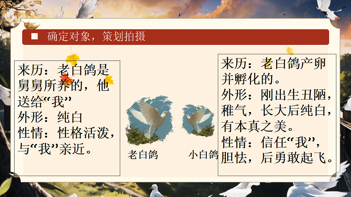 17332116第8页