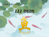 人教版生物七年级上册2.2.2《脊椎动物》（第1课时）课件