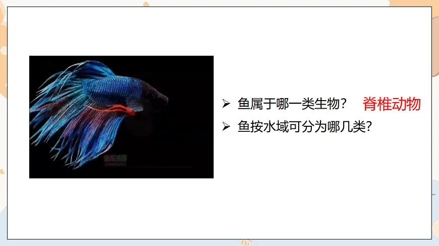 17332156第5页