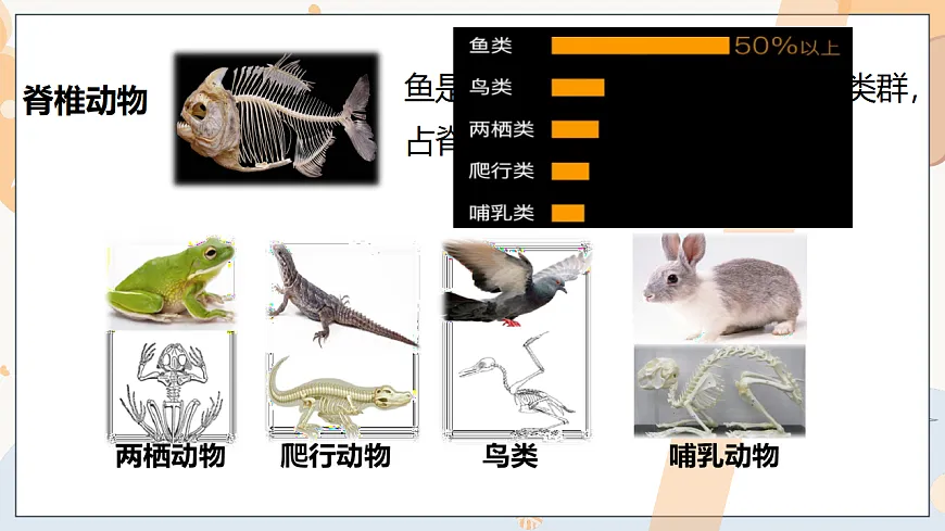17332156第7页