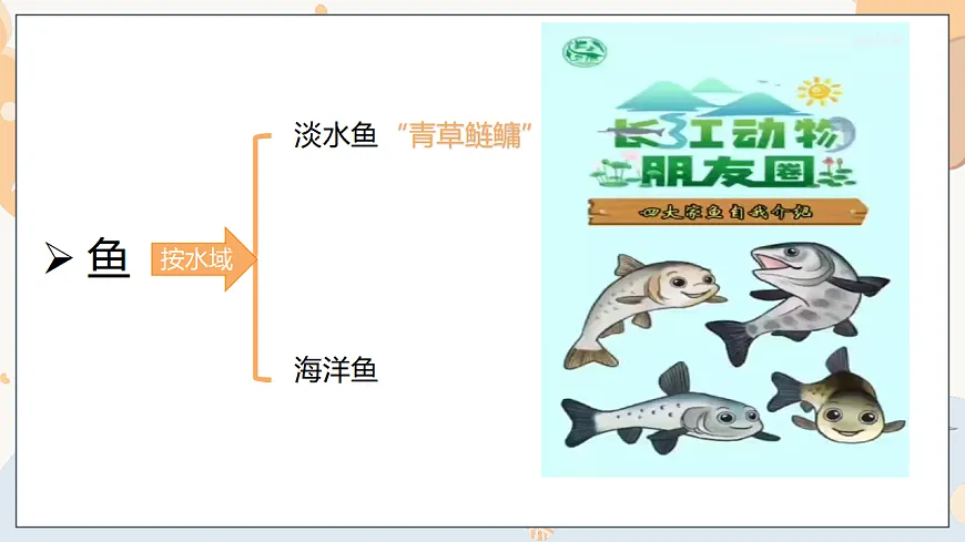 17332156第8页