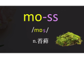 Unit 4 Amazing Plants and Animals Section A 1a-3c（课件） 人教版八年级英语上册