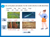 Unit 4 Amazing Plants and Animals Section A 1a-3c（课件） 人教版八年级英语上册