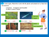 Unit 4 Amazing Plants and Animals Section A 1a-3c（课件） 人教版八年级英语上册