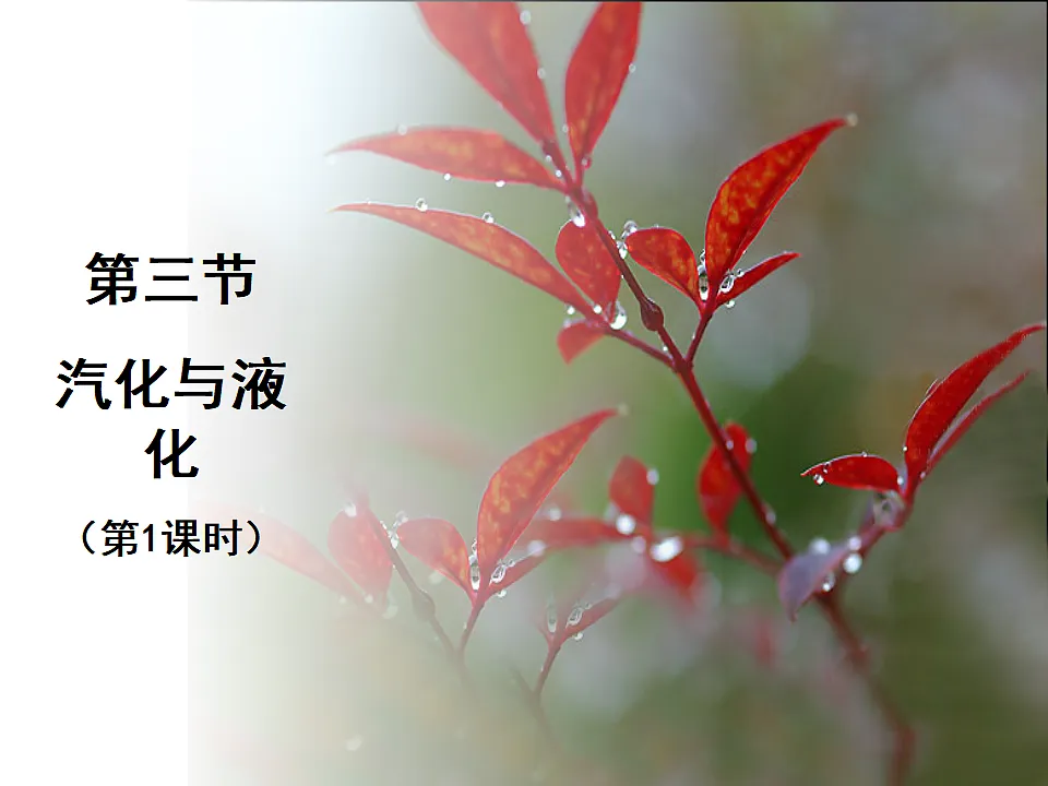 17332299第3页