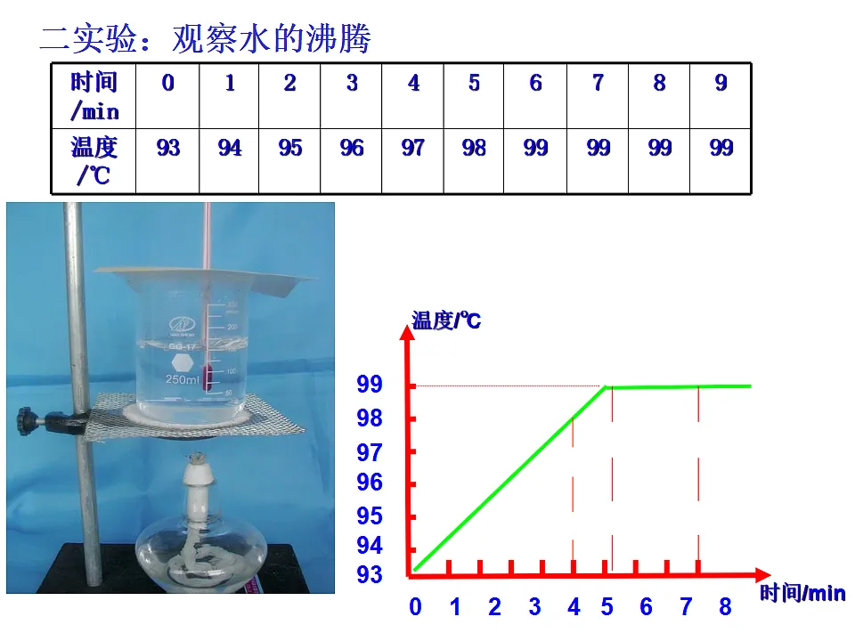 17332299第5页