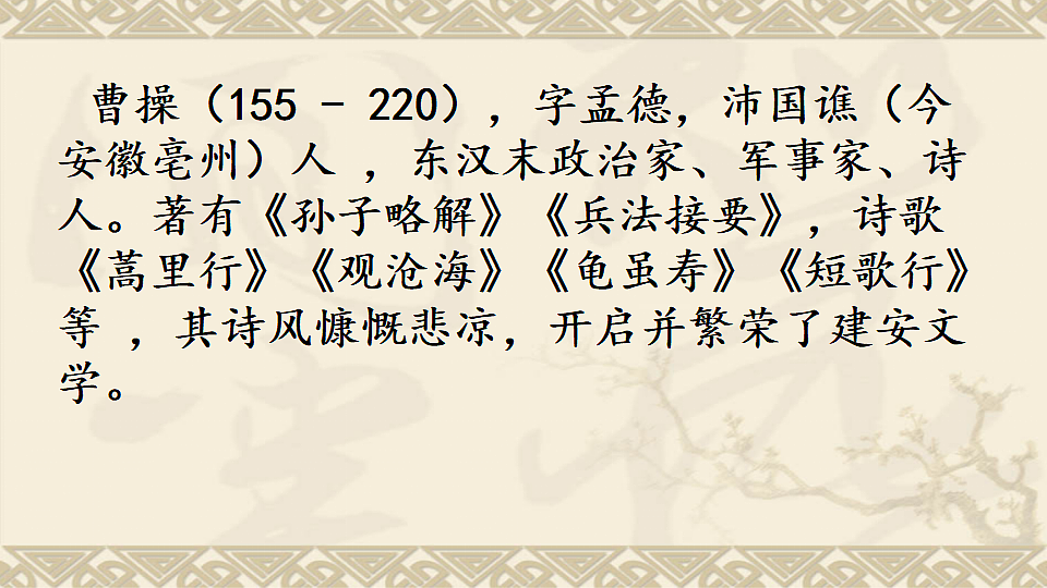 17332896第2页