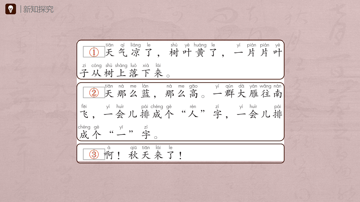 17332957第5页