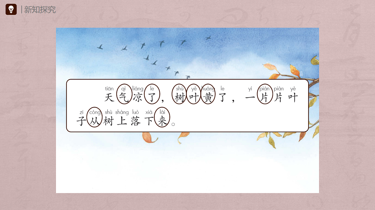 17332957第6页