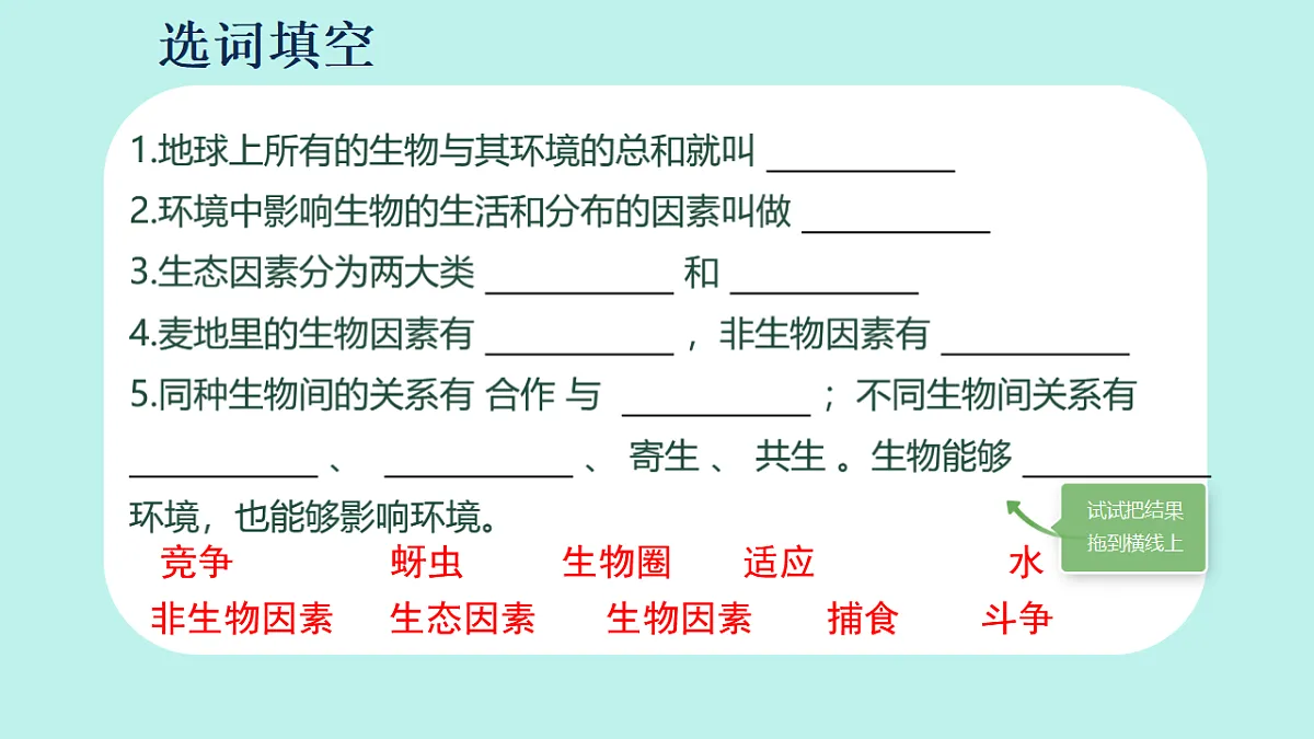 17333247第3页
