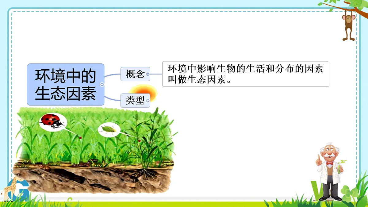 17333247第5页