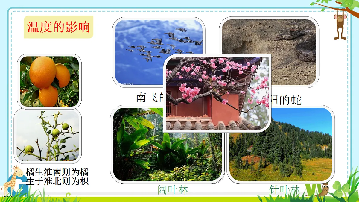 17333247第7页