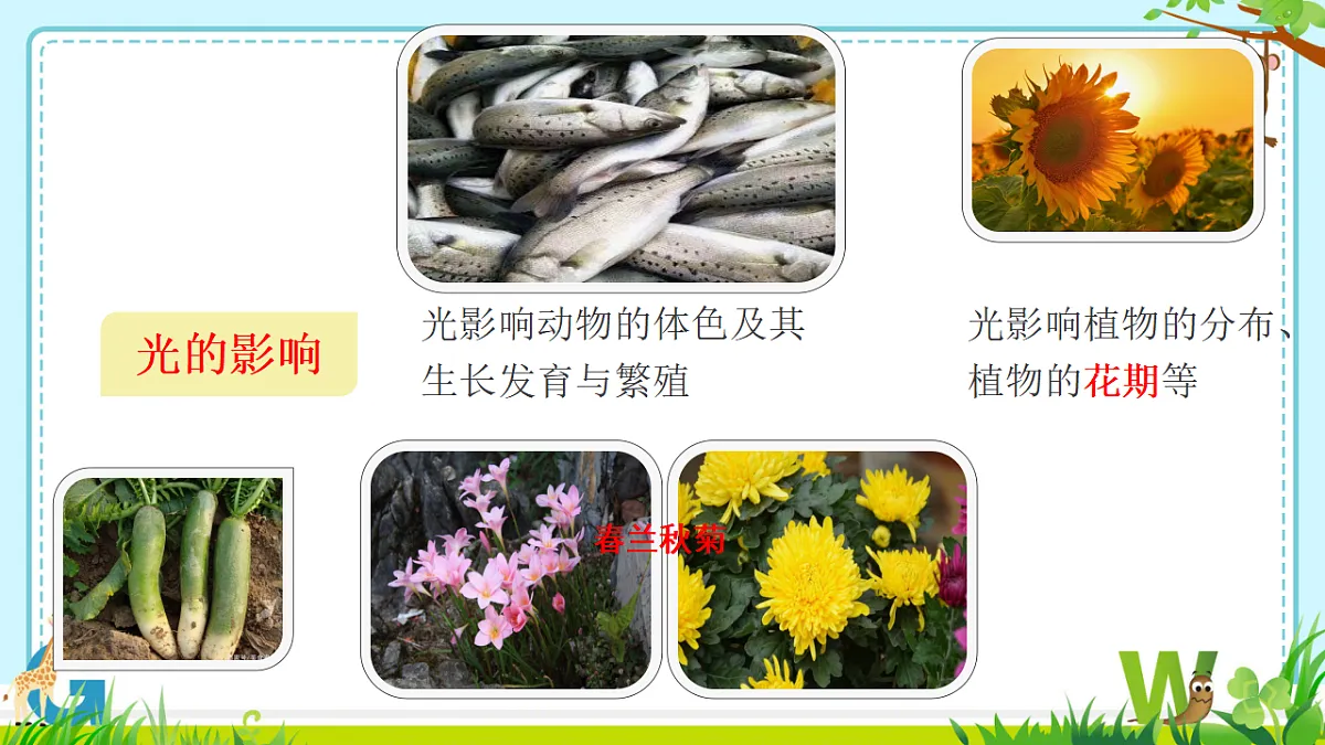 17333247第8页
