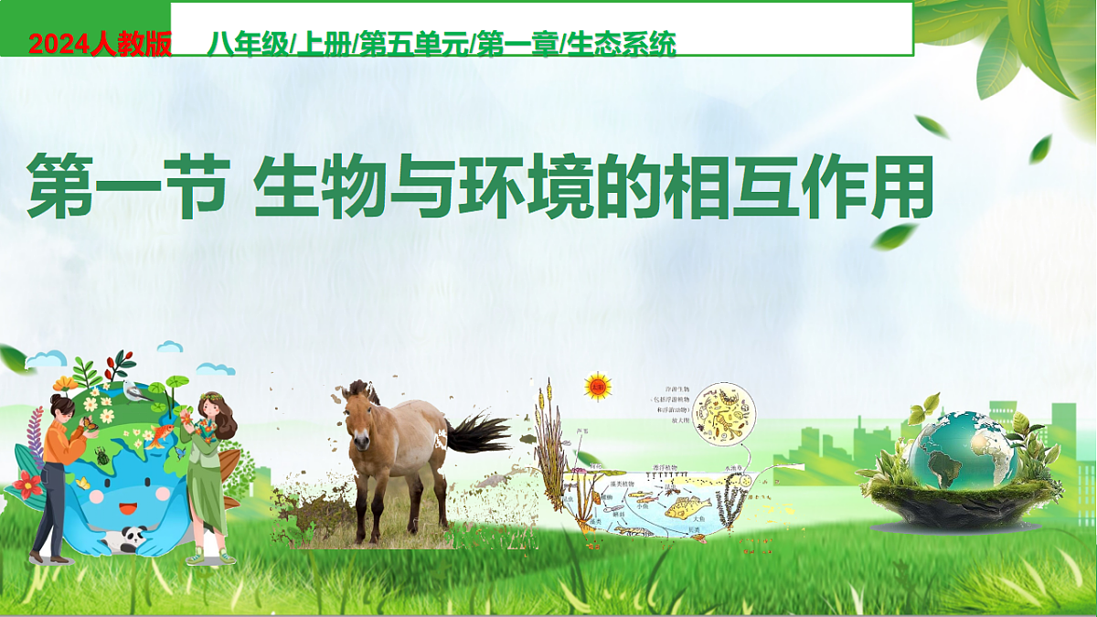 17333248第1页