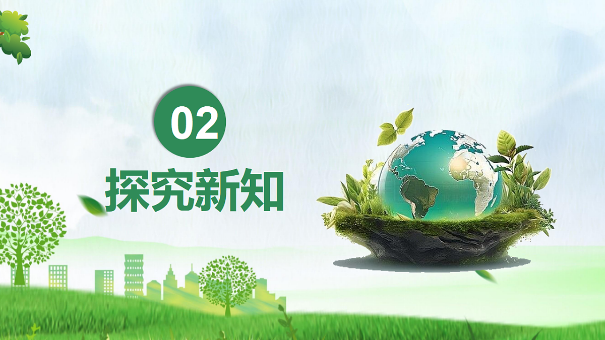 17333248第5页