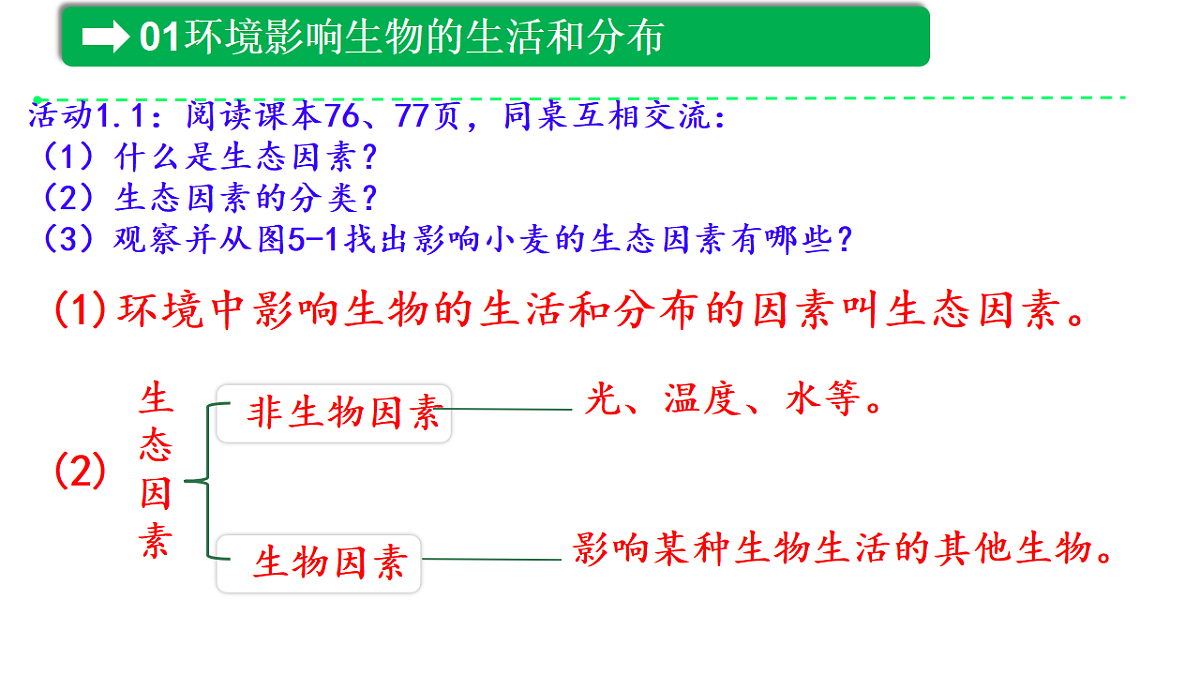 17333248第6页