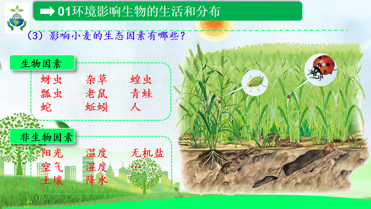 17333248第7页