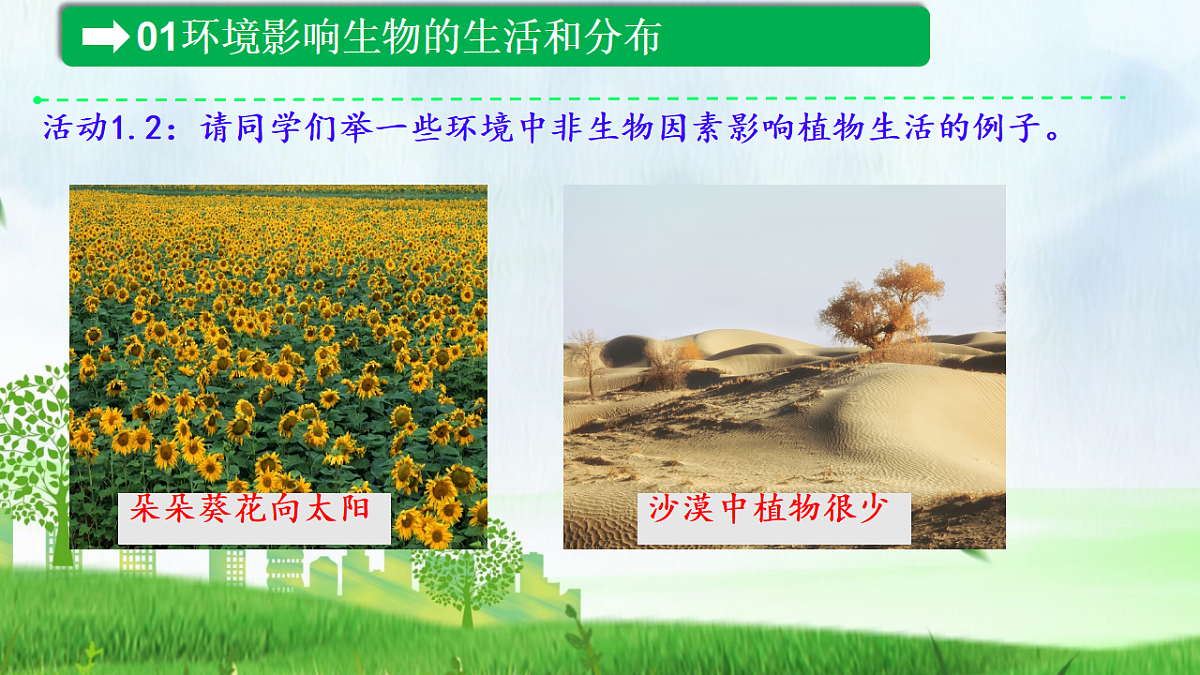 17333248第8页