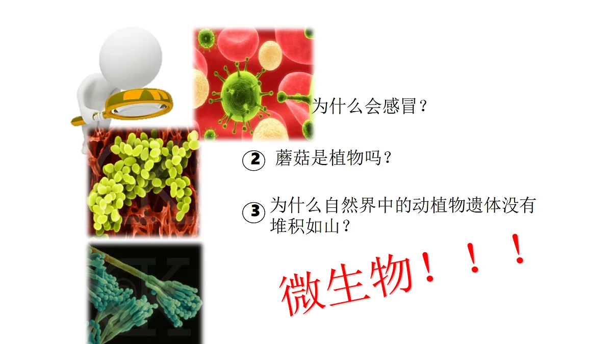 17333487第2页
