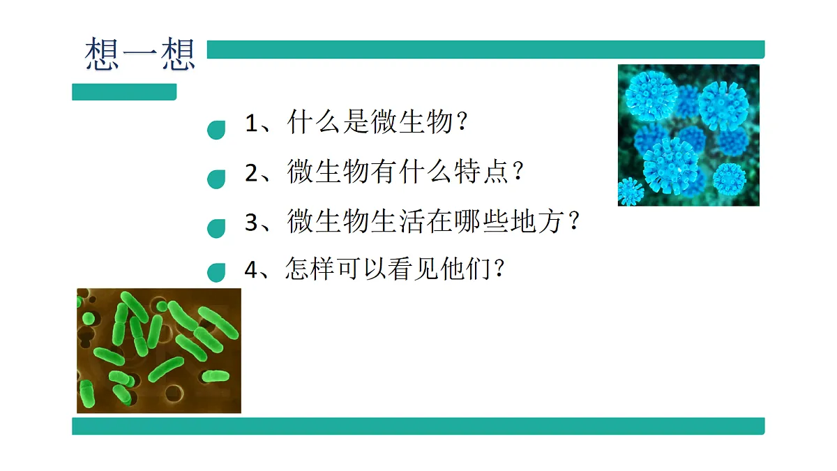 17333487第3页