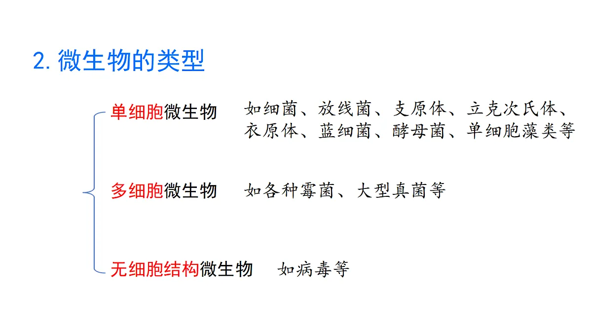 17333487第5页
