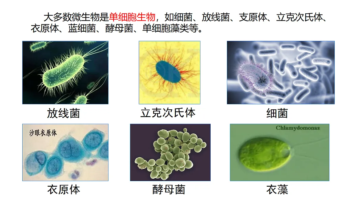 17333487第6页