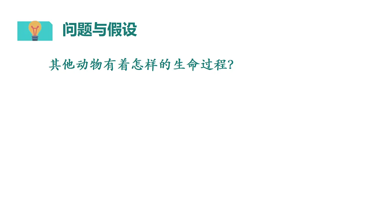 3.5 动物的一生（课件）2025-2026学年大象版三年级科学上册第4页