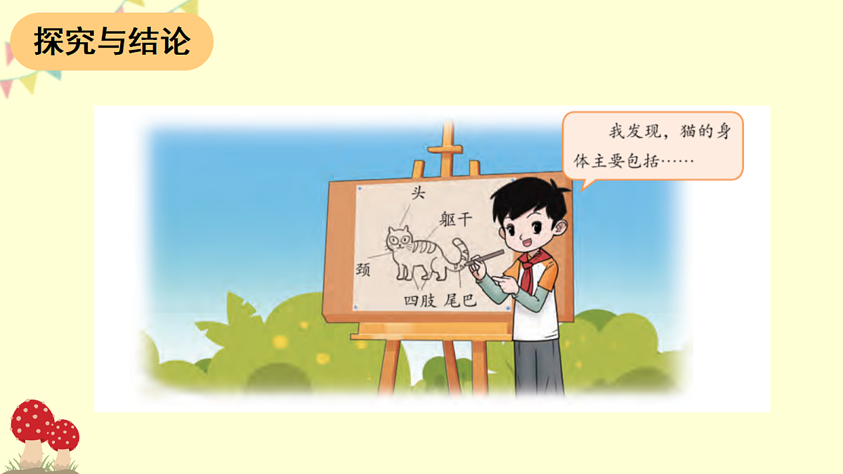 3.3 哺乳动物（课件）2025-2026学年大象版三年级科学上册第4页