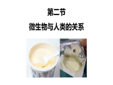 初中  生物  北师大版（2024）  八年级上册（2024）  第5单元12.2 微生物与人类的关系 课件