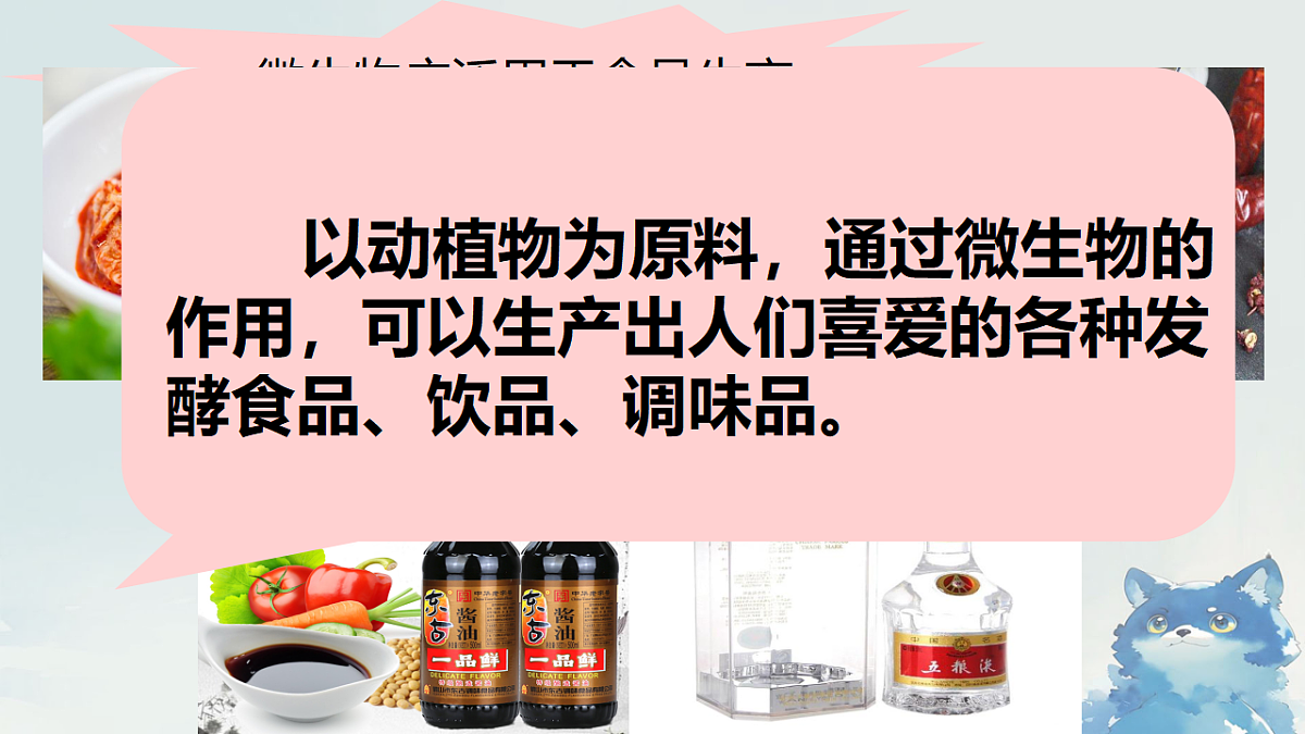17333833第3页
