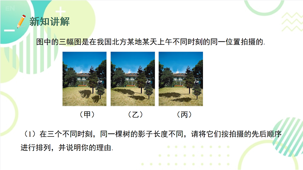 17333853第8页