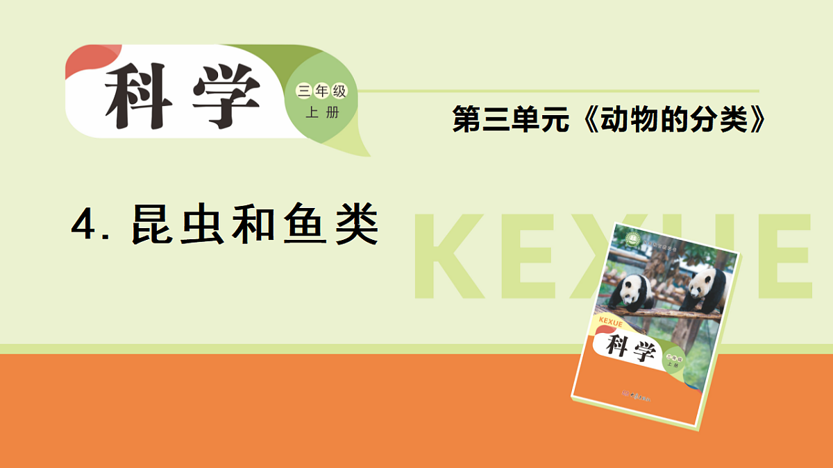 3.4 昆虫和鱼类（课件）2025-2026学年大象版三年级科学上册第1页