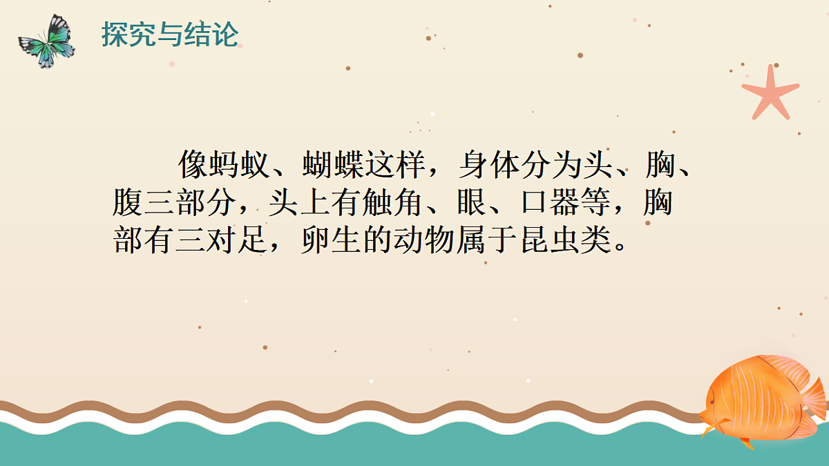 3.4 昆虫和鱼类（课件）2025-2026学年大象版三年级科学上册第7页
