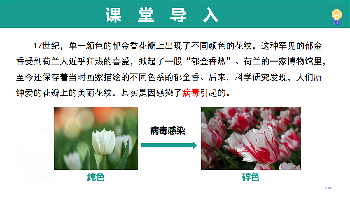 17334490第4页