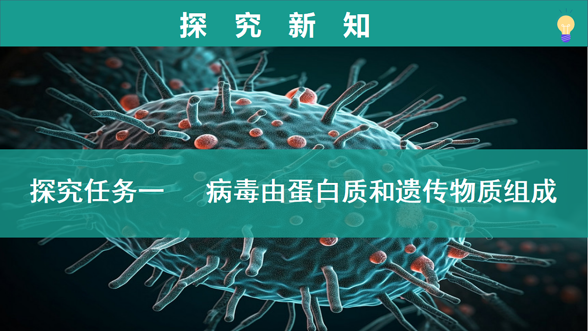 17334490第6页