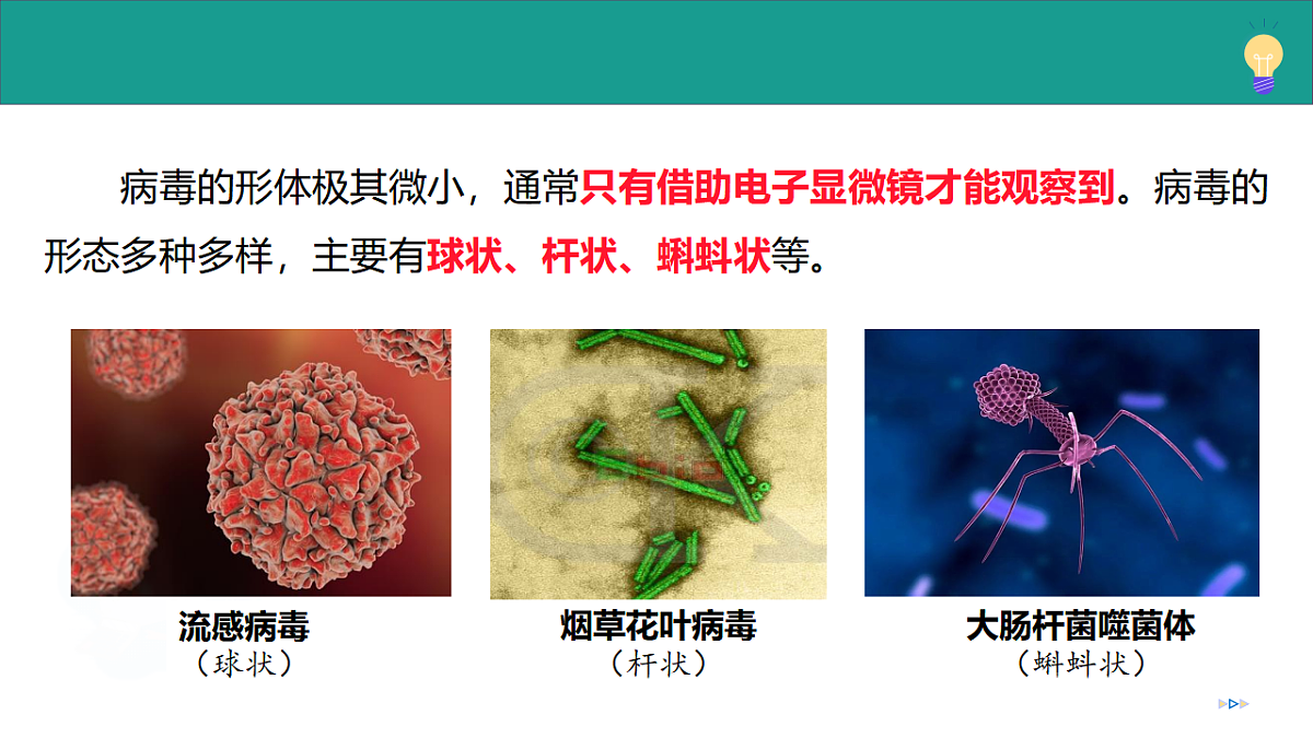 17334490第7页