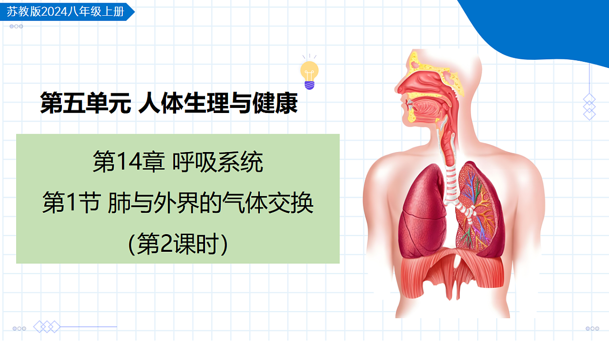 17334495第1页