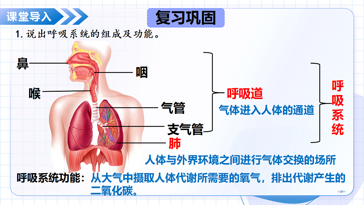 17334495第5页