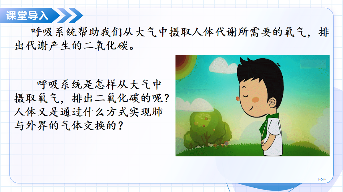 17334495第7页