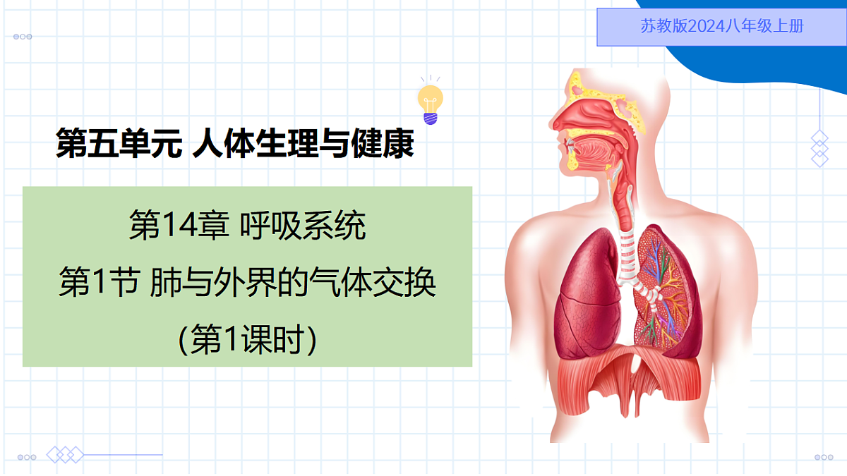 17334496第1页