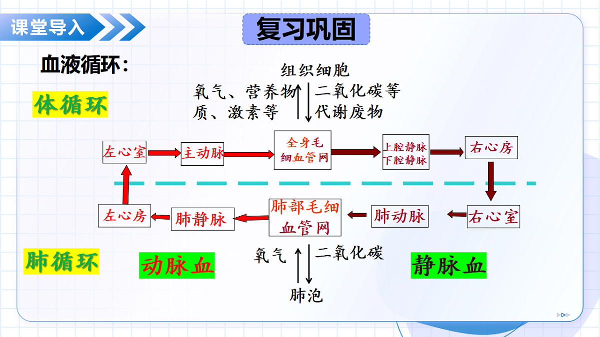 17334496第5页