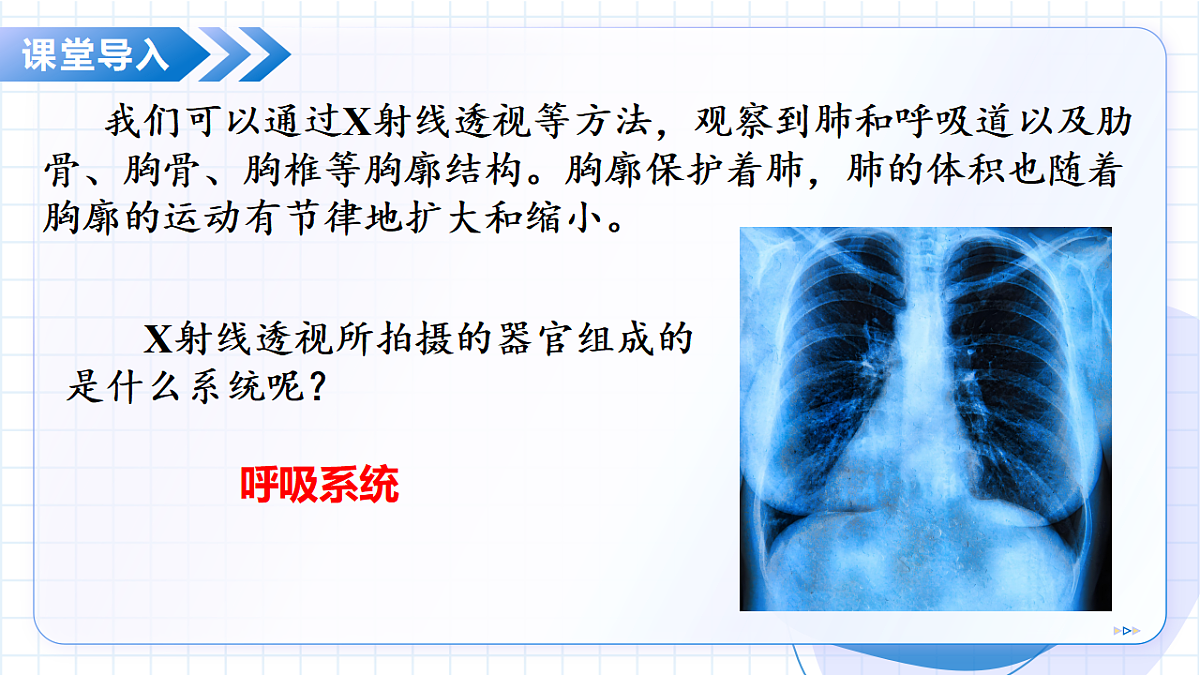 17334496第6页