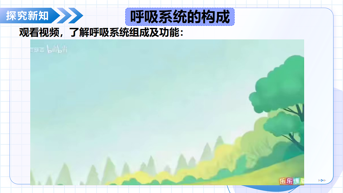 17334496第8页