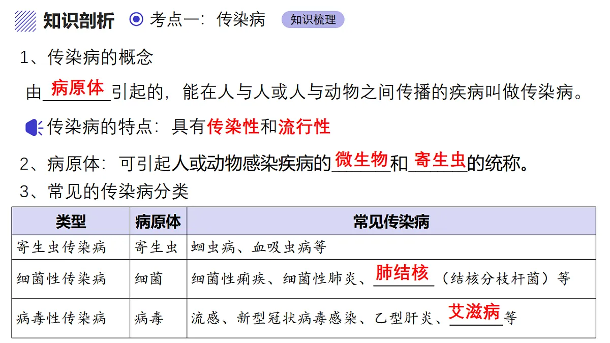 17334498第5页