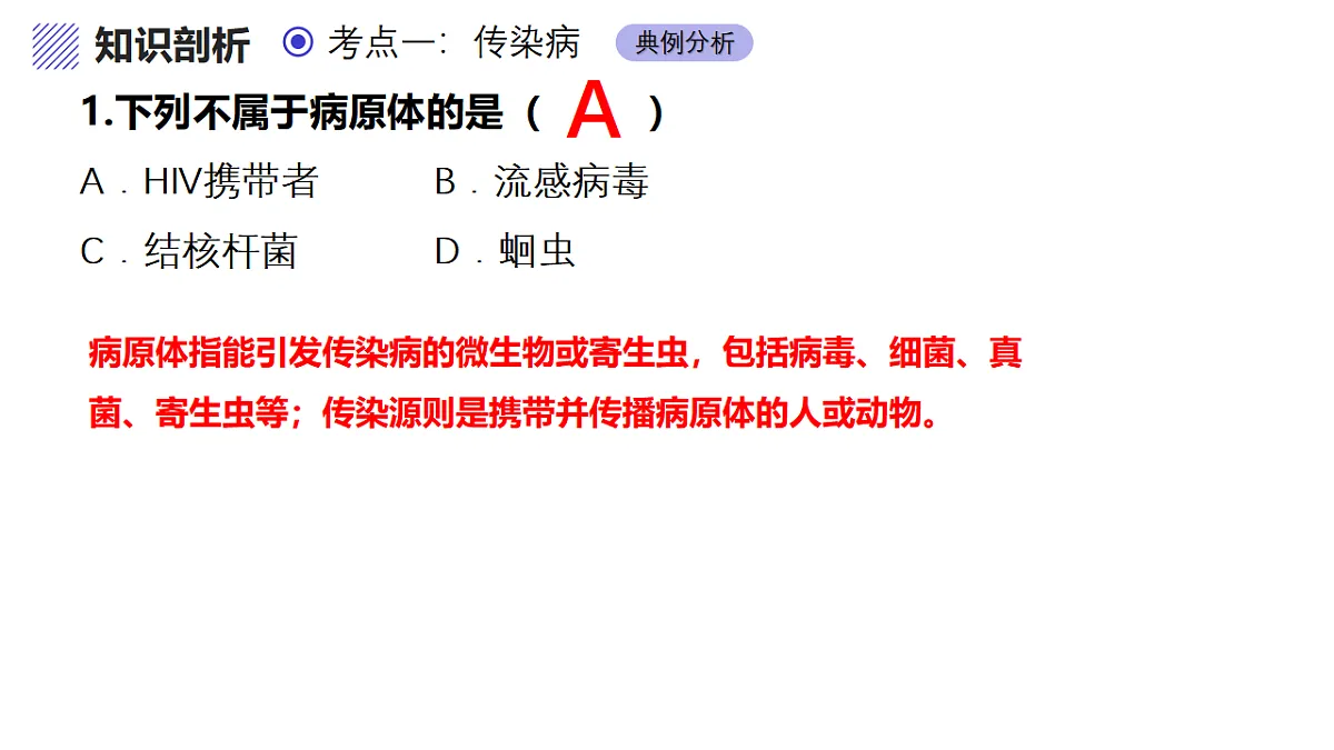17334498第6页